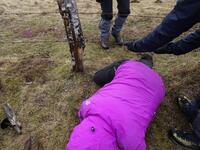 Clôtures et barbelés : par dessous Clôtures et barbelés : par dessous